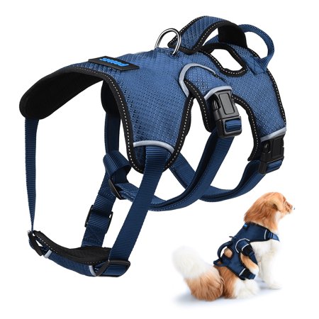 Medium dog full body dog lift harness walmart 2017